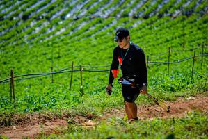 BIB: 
                            <button type="button" onclick="openModal(19164589)" class="btn btn-primary btn-sm float-right btn-popup" data-toggle="modal" data-target=".modal-high-quality">
                        <i class="fas fa-shopping-cart"></i> Add to Cart
                    </button>
                                            <button type="button" onclick="isThisMe(19164589, true)" class="btn btn-success btn-sm float-right btn-popup btn-isme hidden" data-toggle="tooltip" data-placement="bottom" title="นี่คือรูปของคุณใช่ไหม คลิกที่นี่เพื่อเอาเข้าอัลบั้ม">
                        <i class="fas fa-plus"></i> Add to album
                    </button>
                    <button type="button" onclick="isThisMe(19164589, false)" class="btn btn-warning btn-sm float-right btn-popup btn-isnotme hidden">
                        <i class="fas fa-ban"></i> Remove from album
                    </button>